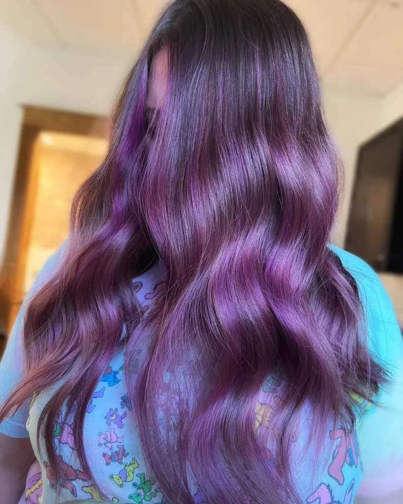 Purple Hair Color Ideas